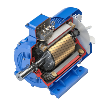 INDUCTION-MOTORS
